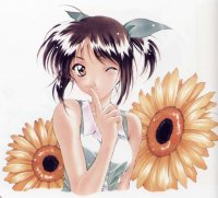 BUY NEW sentimental graffiti - 2448 Premium Anime Print Poster